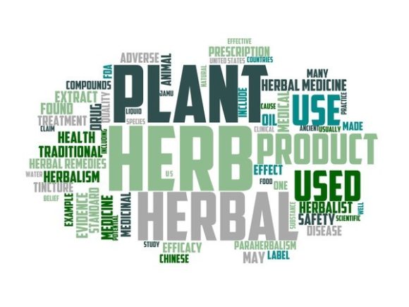 Herbalist Typography Skinny Tumbler: A Versatile Design Asset for Makers and Brands