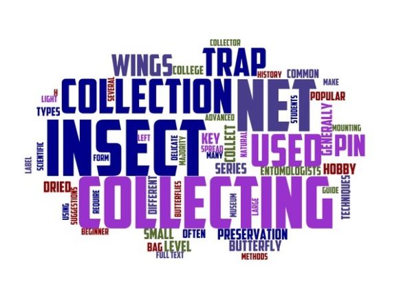 Insect Collecting Typography Sticker: A Vibrant Word Cloud for Creative Expression
